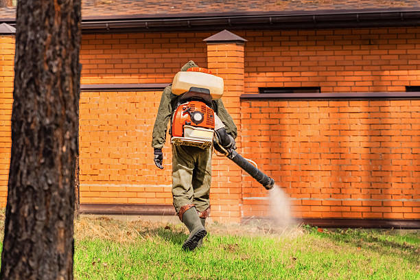 Trusted Termite Control service in Brocton, NY - Nex Pest Control